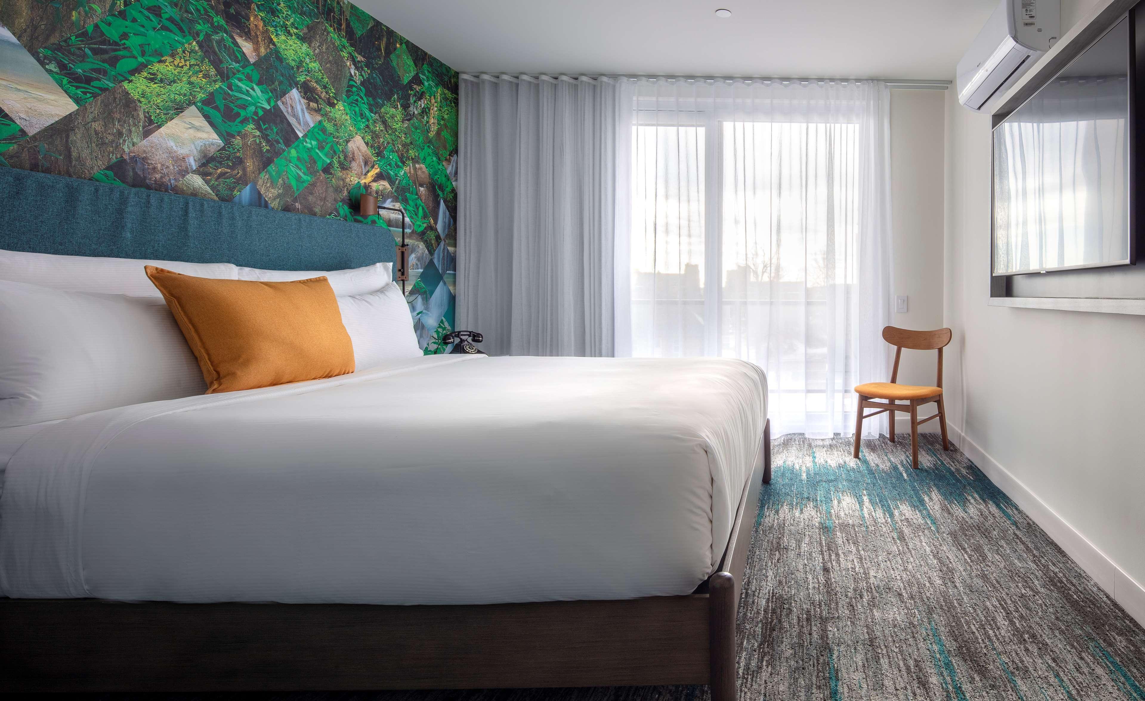 Canvas Moncton, Tapestry Collection By Hilton Esterno foto